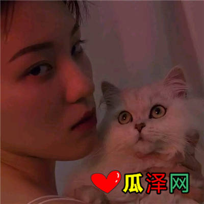 ʧȥ