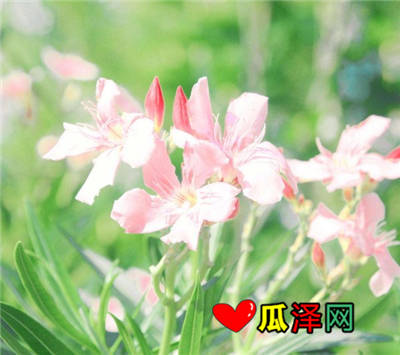 ڷյĸǩ