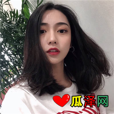鸴ӵľ