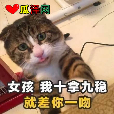 ζ黰2019˱ر