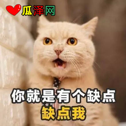 ζ黰2019˱ر