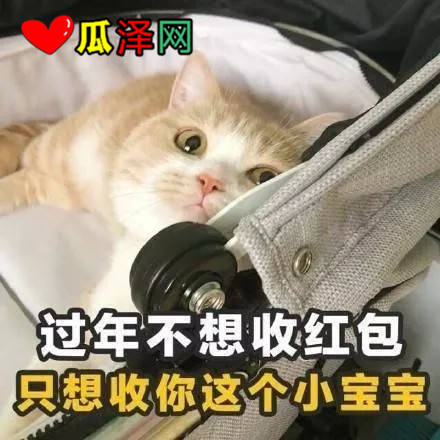 ζ黰2019˱ر