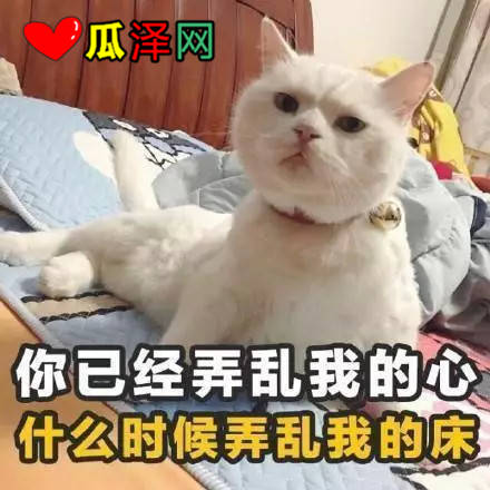ζ黰2019˱ر