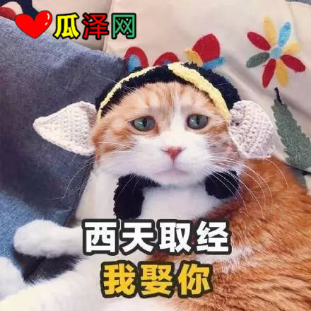 ζ黰2019˱ر