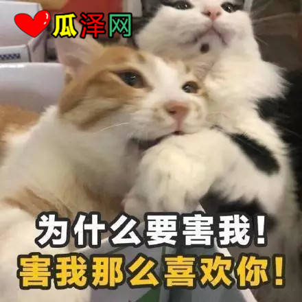 ζ黰2019˱ر