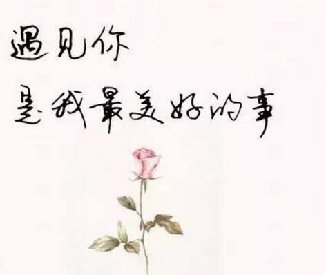 黰̾ʮ