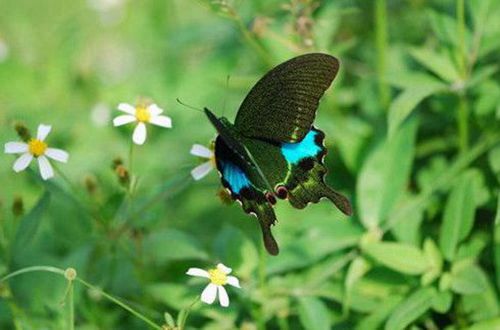 ���軨Ů�������100��(��ѡ4ƪ)