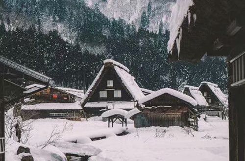 ůİ ʺϷȦůİ