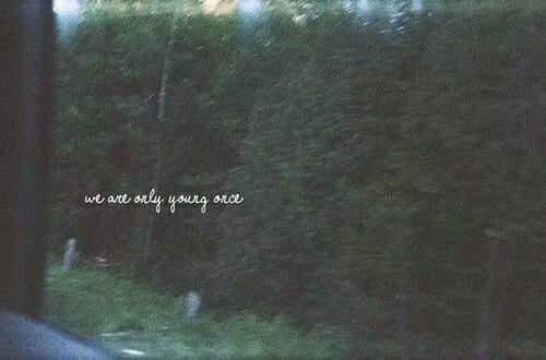 һ仰ñ˹ע