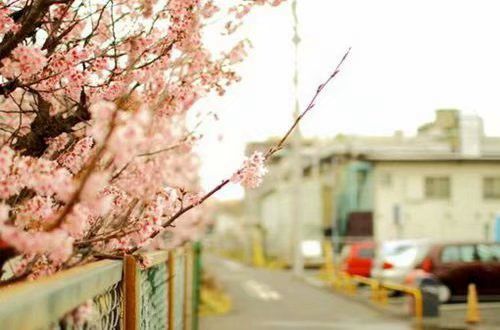 رɰһ仰